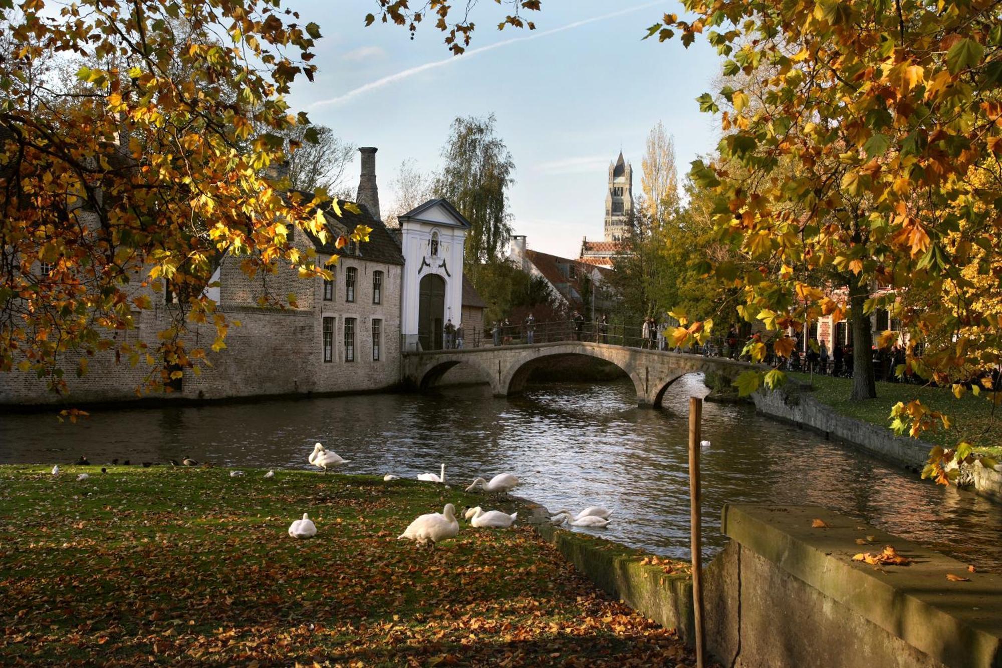 B&B Lievejan Jabbeke  Exterior photo